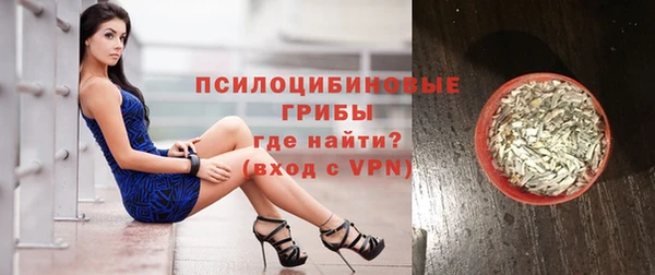 дмт Медвежьегорск