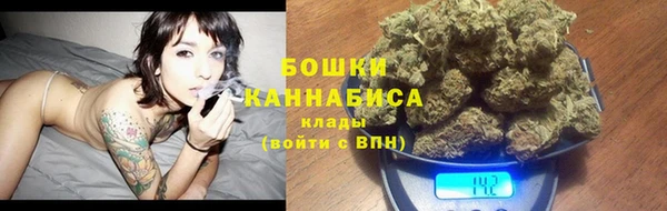 соль ск Медногорск