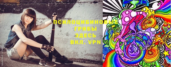 дмт Медвежьегорск